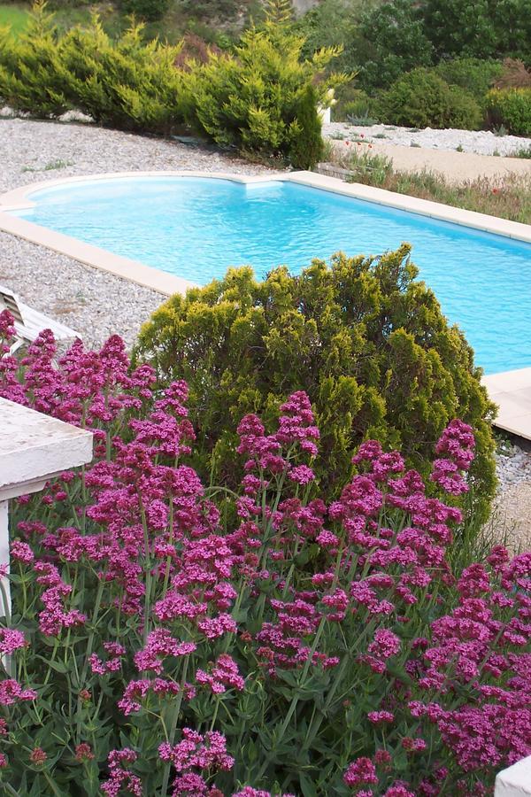 Bed and Breakfast L'Ensoleillee Rosans Exterior foto